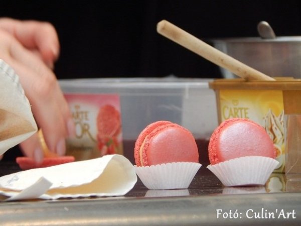 Modos_Aniko_DSCN1133