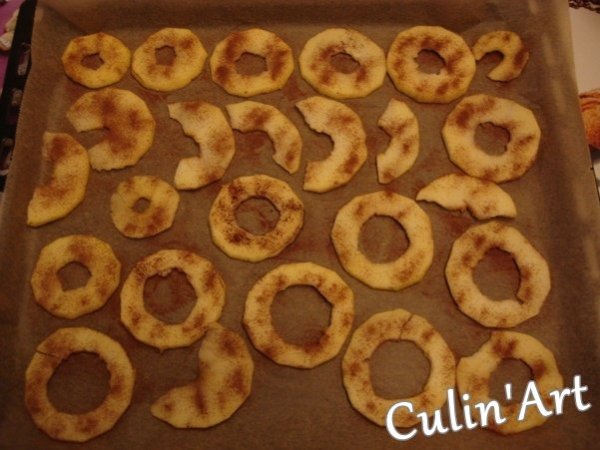 fahejas_alma_chips_DSC04866